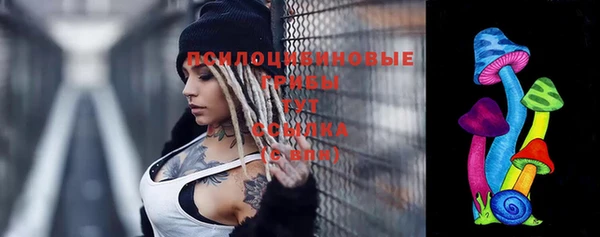 первитин Алексеевка
