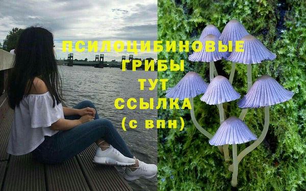 спиды Алзамай