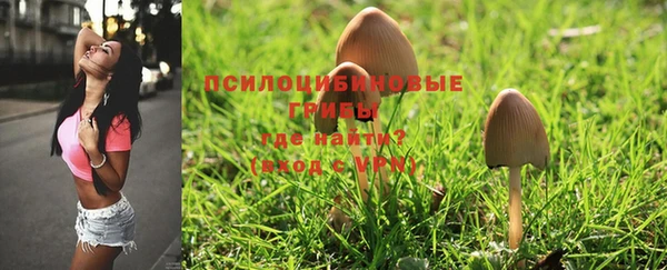 MDMA Абинск