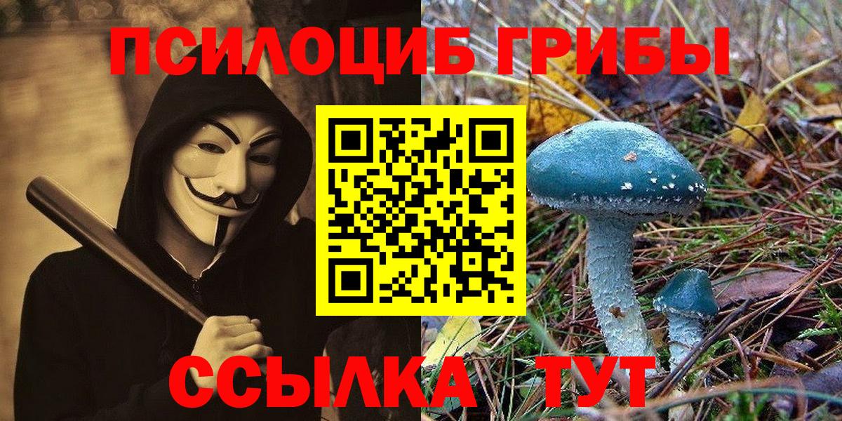 Галлюциногенные грибы MAGIC MUSHROOMS Усолье-Сибирское
